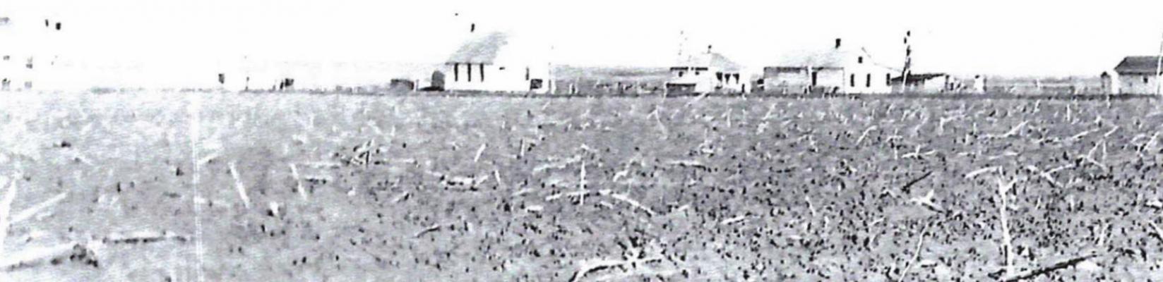 Alt Text for Image