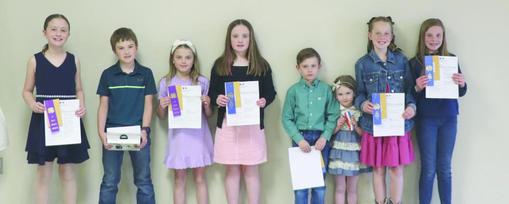 4-H Public Speaking - Junior Speech
