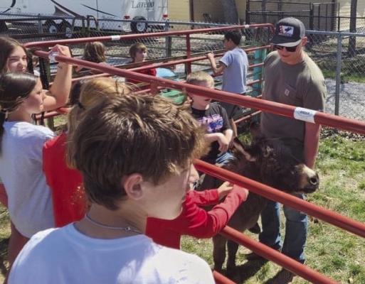 Arapahoe FFA field day