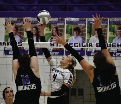 HASTINGS - The Southern Valley volleyball team saw its season come to a close Tuesday with a 25-15, 22-25, 25-19, 25-12 defeat to Centennial. Adi Hunt (above) and Vanesa Aguayo (below) are pictured. The Eagles finished 17-13.