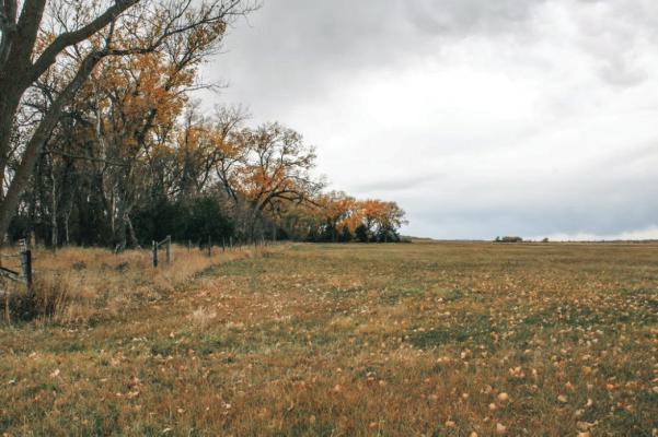 Nebraska Landowners List 260,000 Acres on Land-Sharing Marketplace