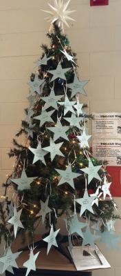 Wish Tree is Up at Cambridge School