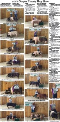 2022 Gosper County Hog show