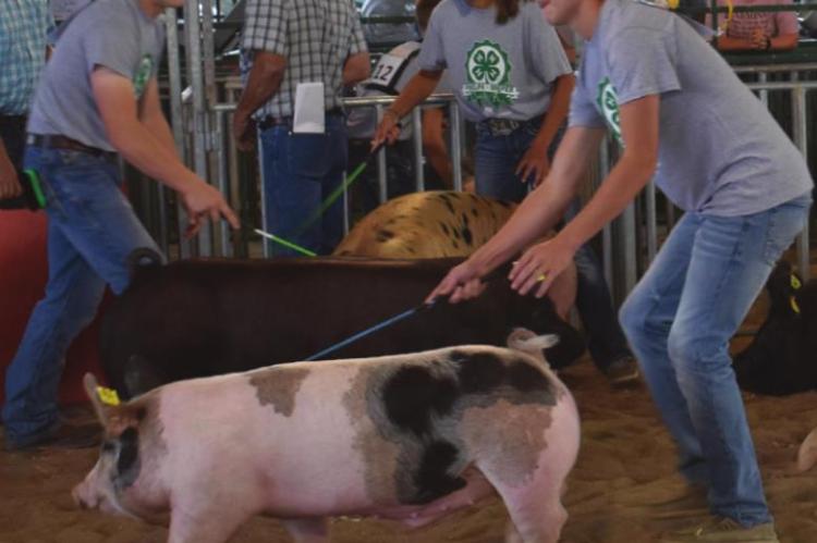 Gosper County Fair 2022
