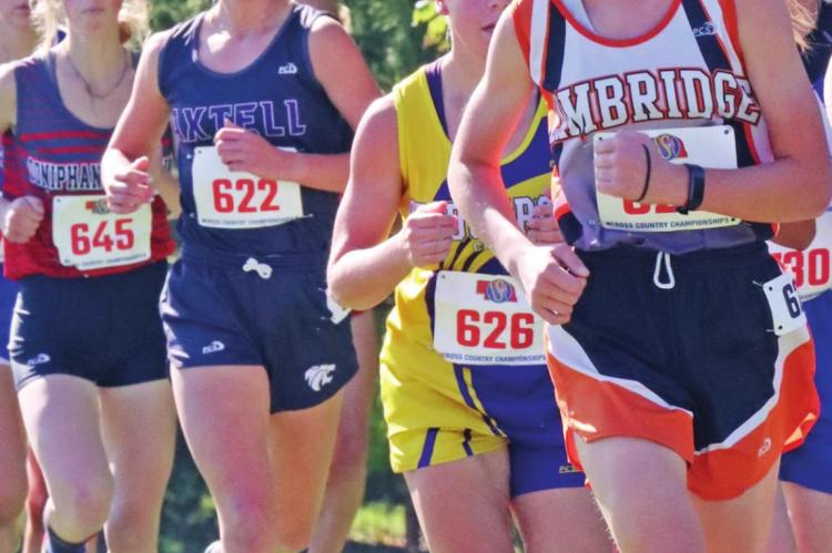 Local athletes compete at State Cross Country