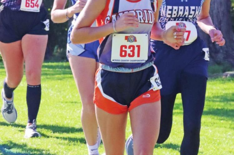 Local athletes compete at State Cross Country