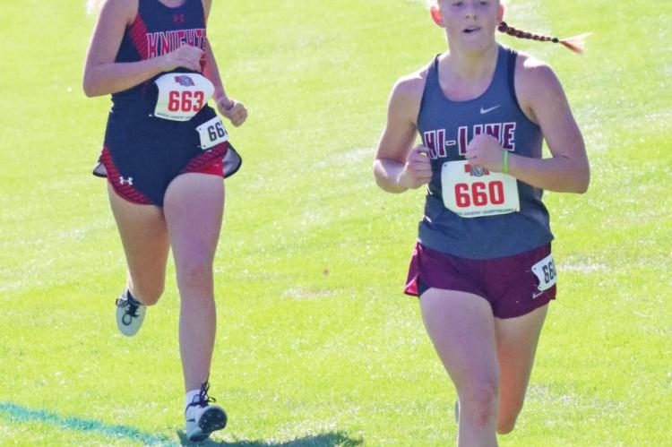 Local athletes compete at State Cross Country