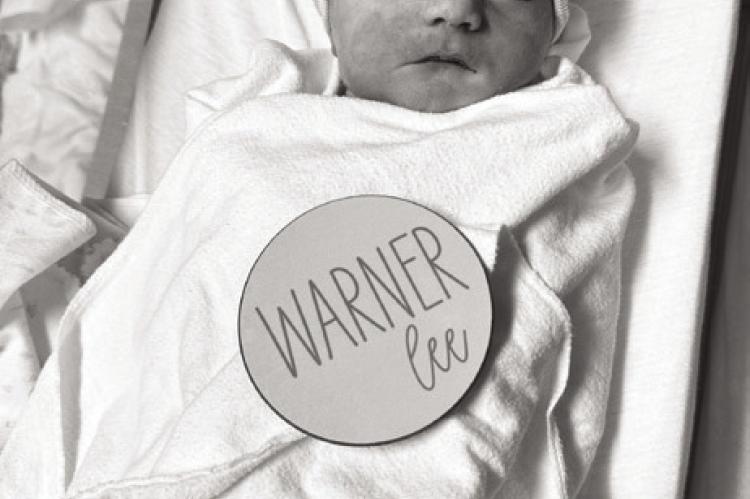 WARNER L. TEEL