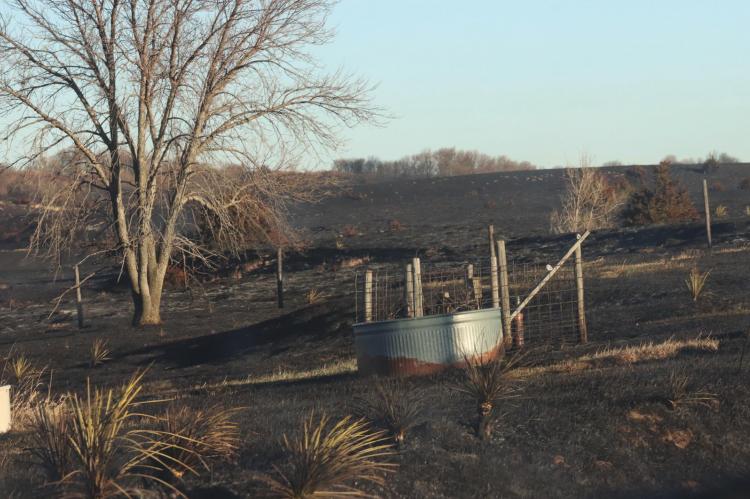 Long Uncertain road Back to recovery for Area Farmers and ranchers
