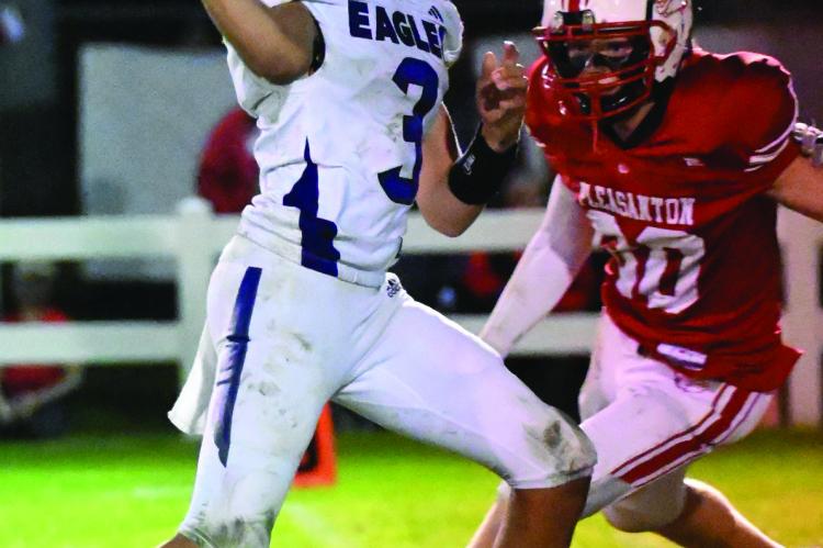 Eagles downed at Pleasanton