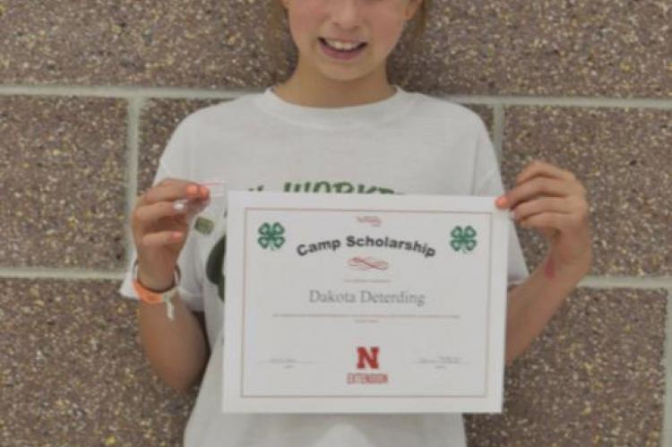 Furnas County 4-H achievement night