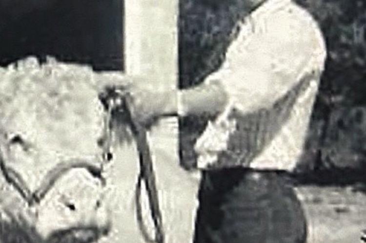CLIFFORD HOUSER