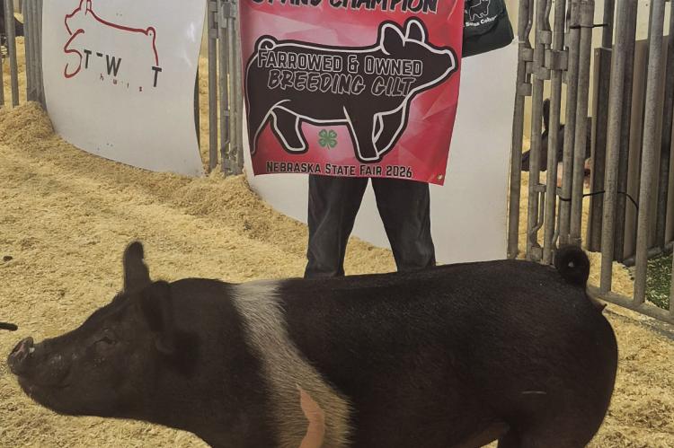 Frontier County’s Hunter Snyder is pictured with his Grand Champion Breeding Gilt from the Farrowed and Owned competition.