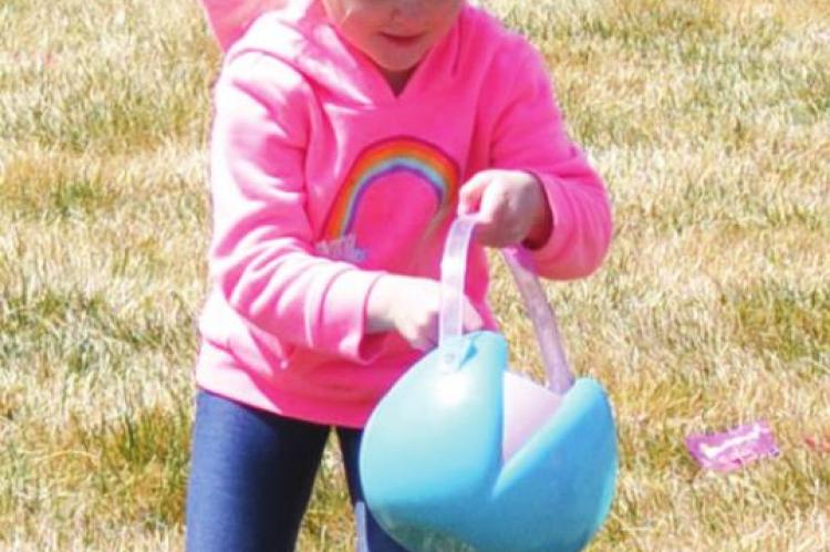 Egg Hunt!