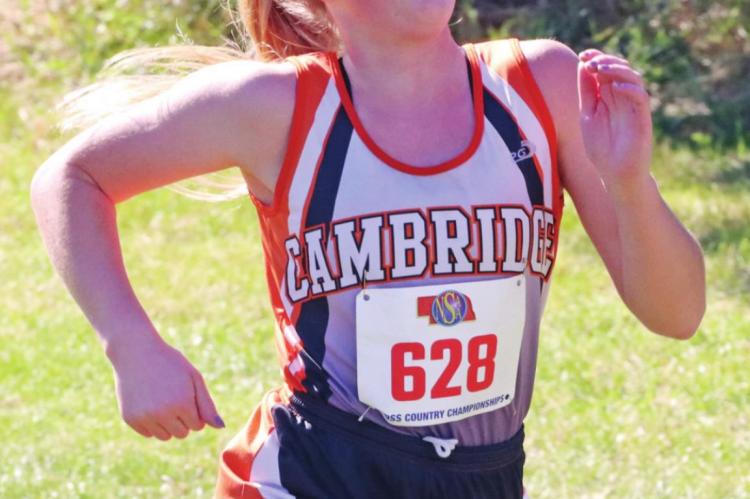 Cambridge, Hi-Line runners compete at State Cross Country