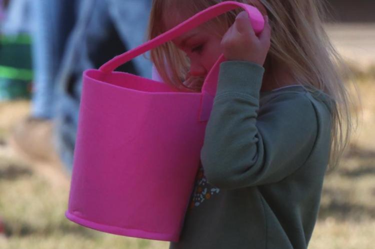 Ready, set...go! Over a hundred enjoy Cambridge Easter Egg Hunt
