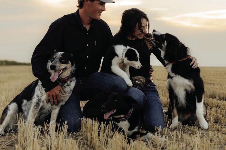 A shared love of stock dogs keeps NCTA couple connected