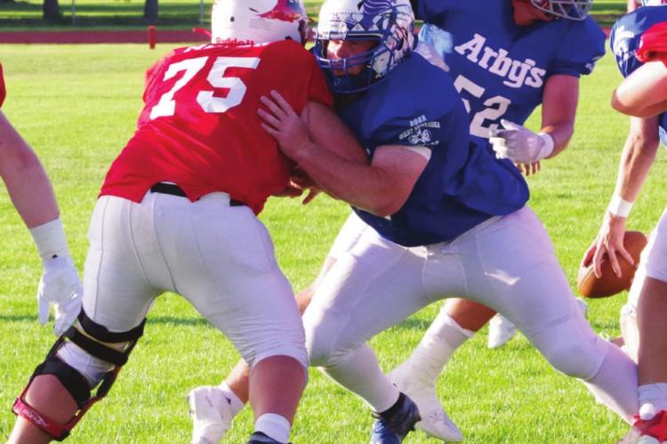 Village of Bartley Joins nebraska League of